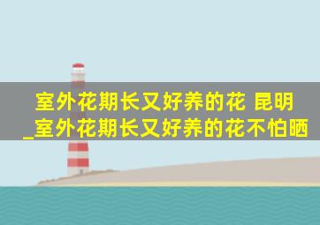 室外花期长又好养的花 昆明_室外花期长又好养的花不怕晒